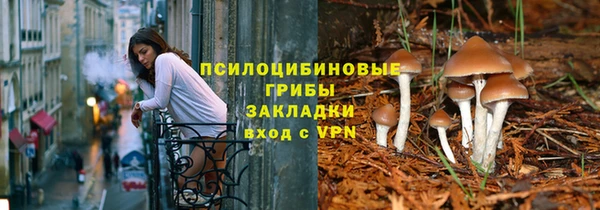 бошки Лиски