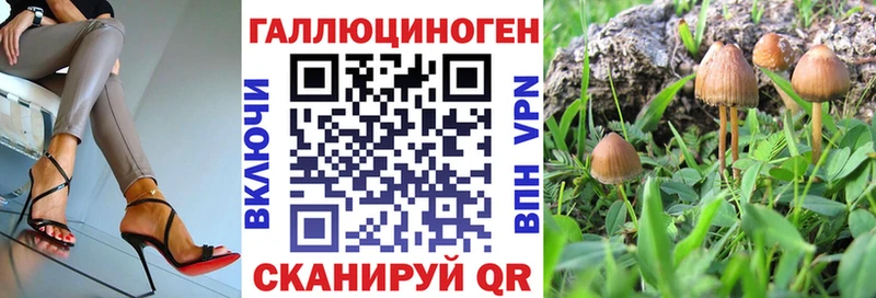 Галлюциногенные грибы Magic Shrooms  Купить закладки  Жердевка 