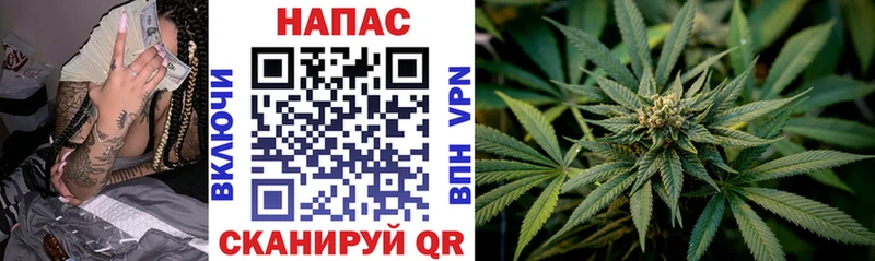 Шишки марихуана Ganja Купить где Жердевка